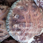 Ant rąstelių auginti grybai shiitake (Valgomasis Dantenis), 300 g