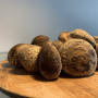 Švieži Šitake Grybai 1kg