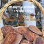 Shiitake grybai užauginti natūraliai ant rąstelių tiesiai iš ūkio, 1 kg