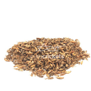 Džiovinti svirpliai – STANDARD dydžio (130g)