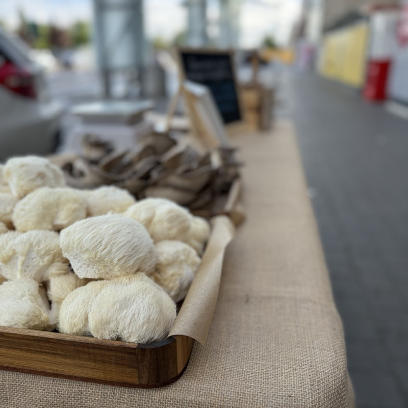 Švieži Lion's Mane grybai 500 g