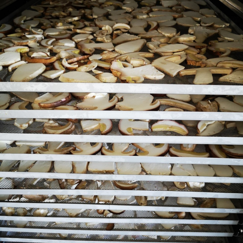 Džiovinti baravykai 250 g