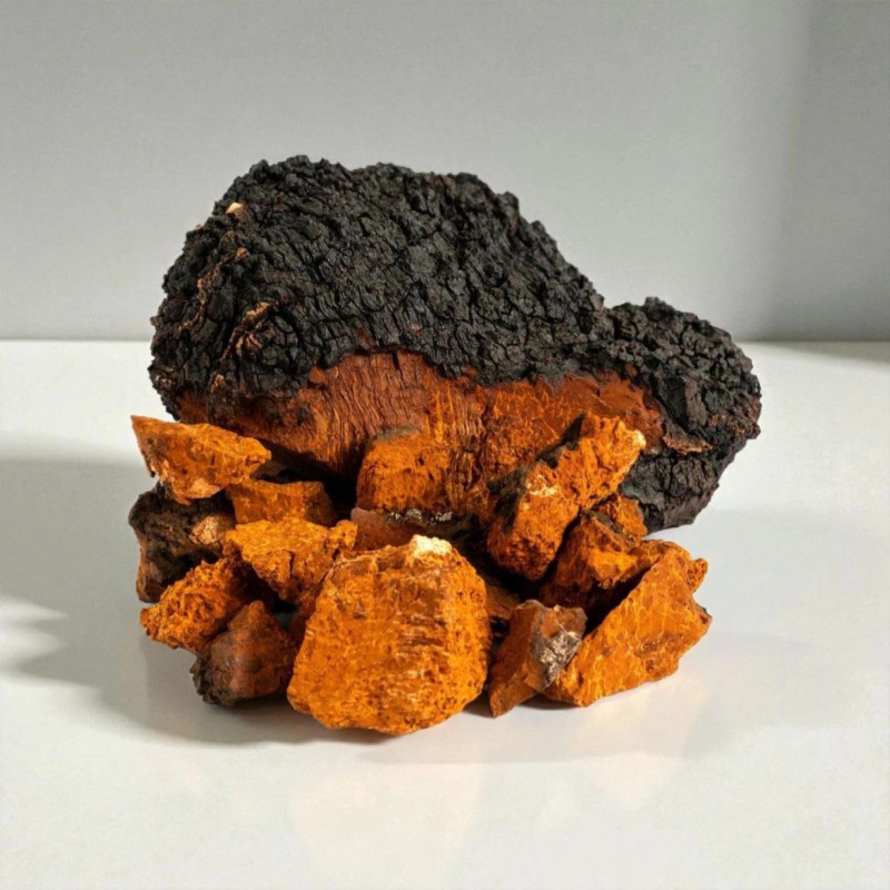 Rinkinys: Čaga ir Reishi kapsulės 120 vnt
