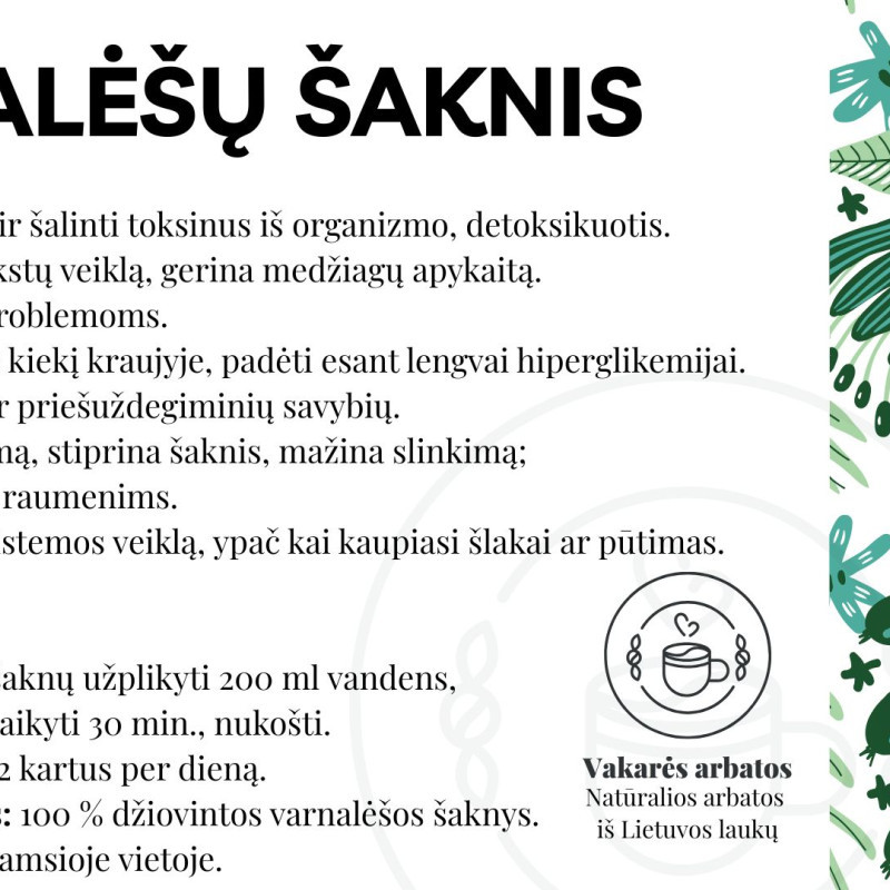 VARNALĖŠŲ ŠAKNIS – organizmo šluota iš gamtos
