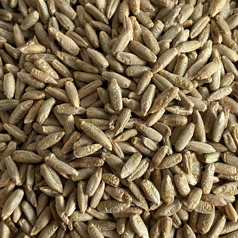 Rugių grūdai 700 g
