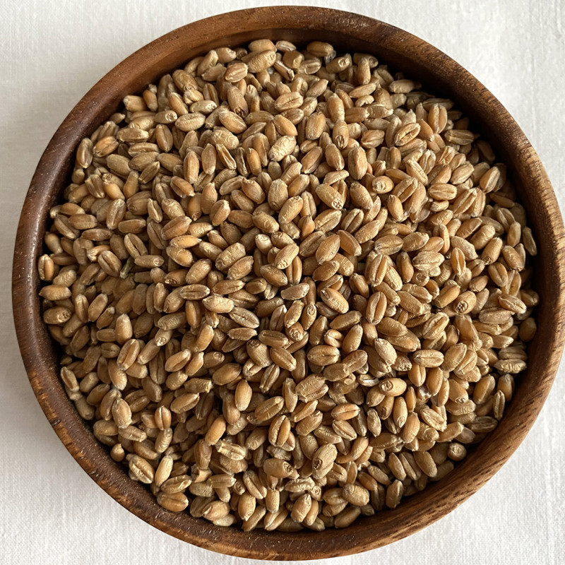 Kviečių grūdai 700 g