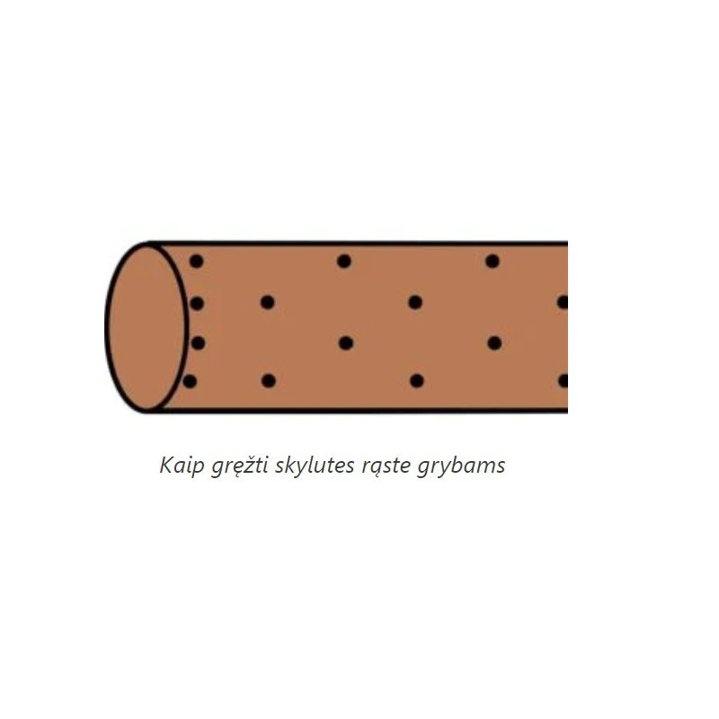 Liūto karčiai 4 l pjuvenų rąstams